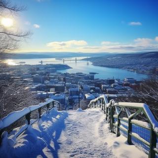 Норвегия виза и ВНЖ цифрового кочевника